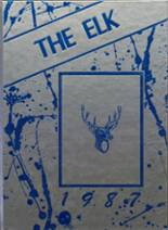 1987 Stratford High School Yearbook from Stratford, Texas cover image