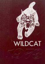 1973 Dade County High School Yearbook from Trenton, Georgia cover image