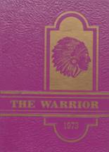 Waukee High School 1973 yearbook cover photo