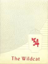 Albin Consolidated High School 1954 yearbook cover photo