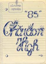 Chardon High School 1985 yearbook cover photo