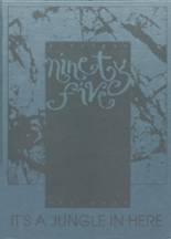 1995 River Ridge High School Yearbook from Elizabeth, Illinois cover image