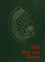 1981 Jamestown High School Yearbook from Jamestown, New York cover image