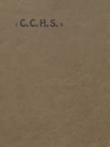 1919 Coal City High School Yearbook from Coal city, Illinois cover image