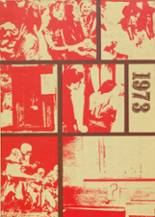 Estes Park High School 1973 yearbook cover photo
