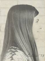 Lamar High School 1973 yearbook cover photo