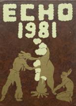 Passaic High School 1981 yearbook cover photo