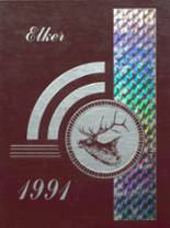 Ridgway High School 1991 yearbook cover photo