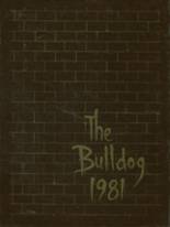 1981 Wauconda High School Yearbook from Wauconda, Illinois cover image