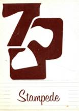 1973 Bridgeport High School Yearbook from Bridgeport, Texas cover image