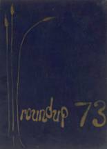Hamshire-Fannett High School 1973 yearbook cover photo