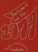 Triad High School 1979 yearbook cover photo