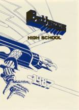 Bethpage High School 1987 yearbook cover photo