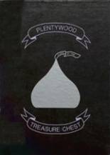 Plentywood High School 1988 yearbook cover photo