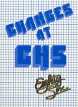 1986 Castlewood High School Yearbook from Castlewood, South Dakota cover image