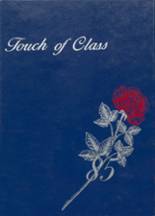 1985 Buna High School Yearbook from Buna, Texas cover image