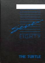 1987 Turtle Lake High School Yearbook from Turtle lake, Wisconsin cover image