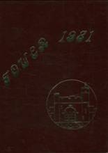 1981 Urbana High School Yearbook from Urbana, Ohio cover image