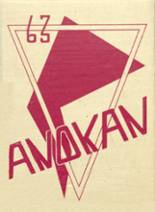 Anoka High School 1963 yearbook cover photo