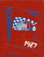 1987 Newcastle High School Yearbook from Newcastle, Oklahoma cover image