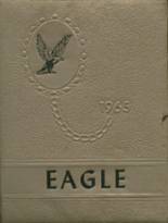 1965 Ropes High School Yearbook from Ropesville, Texas cover image