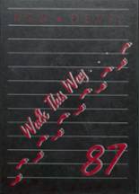 1987 Decatur Community High School Yearbook from Oberlin, Kansas cover image