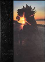 1982 Chugiak-Gruening Junior/Senior High School Yearbook from Eagle river, Alaska cover image