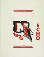 Melvindale High School 1975 yearbook cover photo