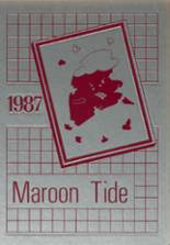 Picayune Memorial High School 1987 yearbook cover photo