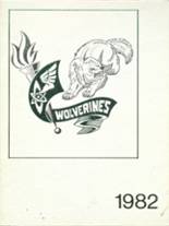 Wood River High School 1982 yearbook cover photo