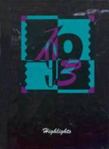 Avon High School 1993 yearbook cover photo
