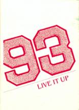 1993 Leroy-Ostrander High School Yearbook from Le roy, Minnesota cover image