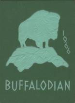 New Buffalo High School 1966 yearbook cover photo