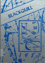 Blackduck High School 1987 yearbook cover photo