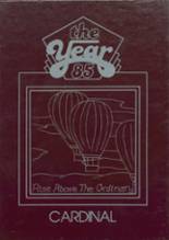 1985 Clear Lake High School Yearbook from Clear lake, South Dakota cover image