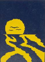 1971 Lakeview High School Yearbook from Cortland, Ohio cover image