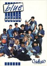 Lake View High School 1991 yearbook cover photo