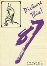 1987 Anna High School Yearbook from Anna, Texas cover image