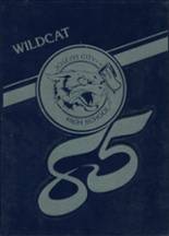 Joseph City High School 1985 yearbook cover photo