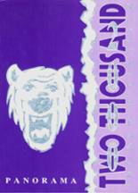 2000 Northern High School Yearbook from Dillsburg, Pennsylvania cover image