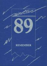 1989 Cleveland High School Yearbook from Cleveland, Minnesota cover image