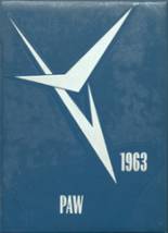 1963 Albany High School Yearbook from Albany, Minnesota cover image