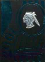 2001 Badger High School Yearbook from Kinsman, Ohio cover image