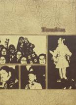 Etowah High School 1973 yearbook cover photo