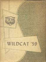 Idalou High School 1959 yearbook cover photo