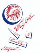 Adair County High School 1988 yearbook cover photo