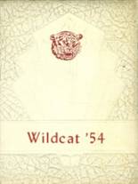 Central High School 1954 yearbook cover photo