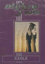 Mason High School 1985 yearbook cover photo