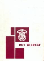 Henry County High School 1971 yearbook cover photo