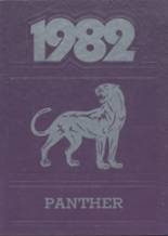 Sandstone High School 1982 yearbook cover photo